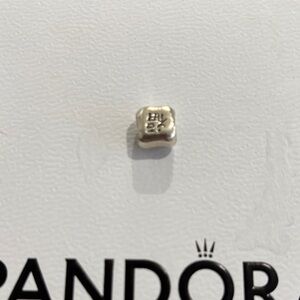Pandora Silver Charm Chinese Characters